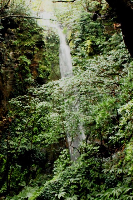 シカマガ滝